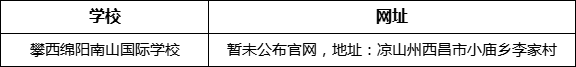 涼山州攀西綿陽南山國際學(xué)校網(wǎng)址是什么？