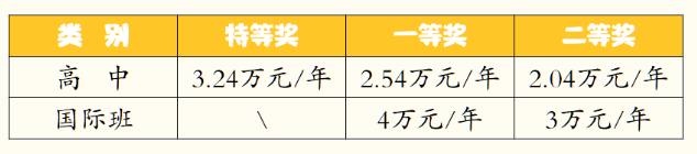 2023年成都市成都棠湖外國(guó)語學(xué)校有沒有獎(jiǎng)學(xué)金，政策是什么