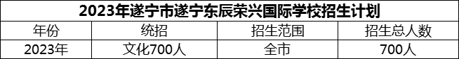 2024年遂寧市遂寧東辰榮興國(guó)際學(xué)校招生計(jì)劃是多少？