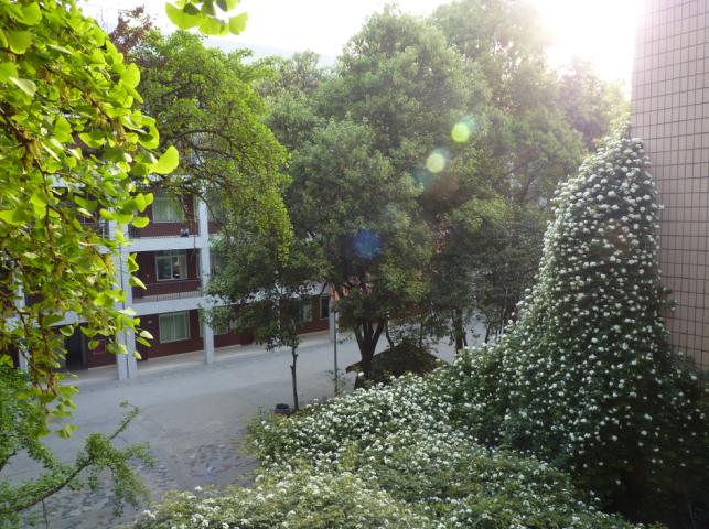 石室聯(lián)合中學蜀華分校怎么樣？