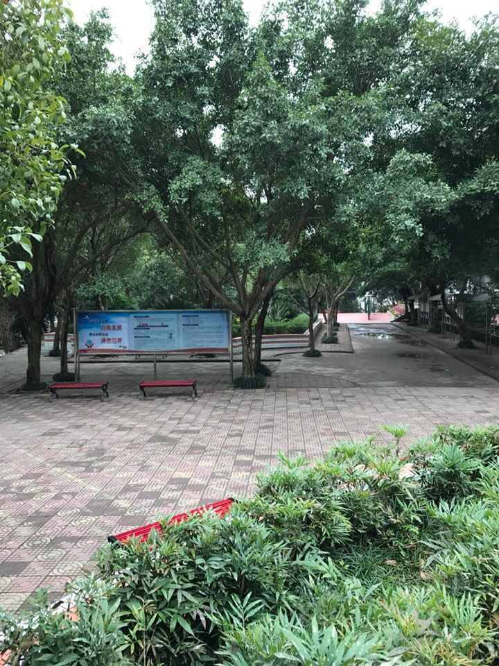 內(nèi)江十二中好嗎？