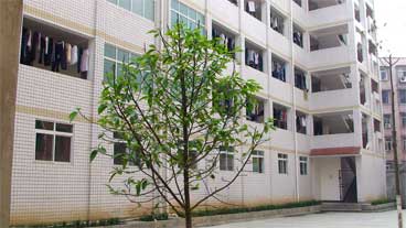 威遠(yuǎn)自強(qiáng)中學(xué)是民辦還是公辦學(xué)校？