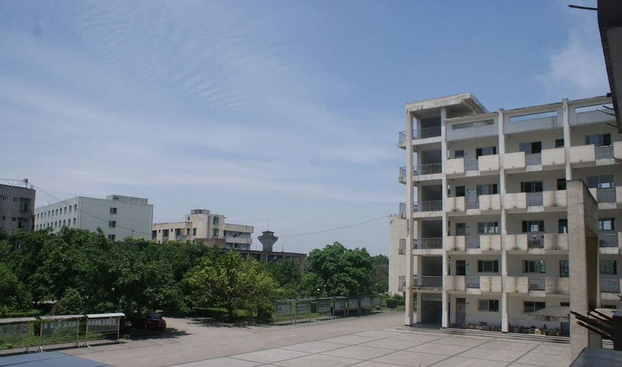 高埂中學校園環(huán)境怎么樣？