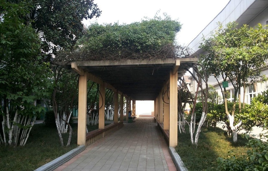 通錦中學環(huán)境怎么樣？