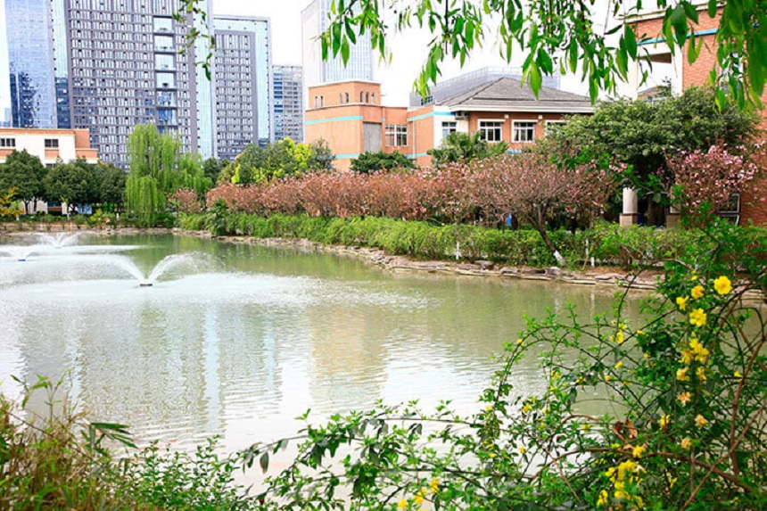 成都美視國(guó)際學(xué)校網(wǎng)址是什么？