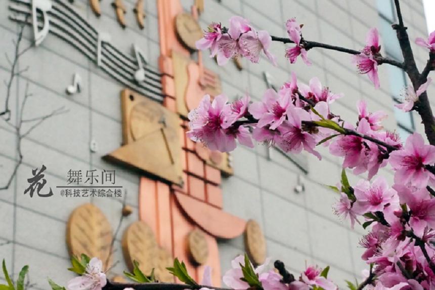 石室天府中學(xué)環(huán)境好不好、怎么樣？