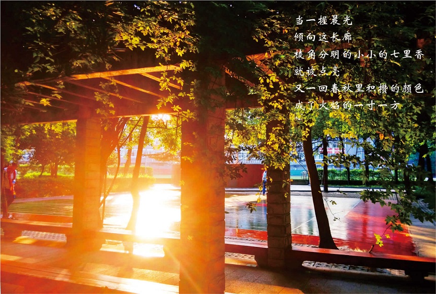 成都七中高新校區(qū)2019年中考分?jǐn)?shù)線是多少？