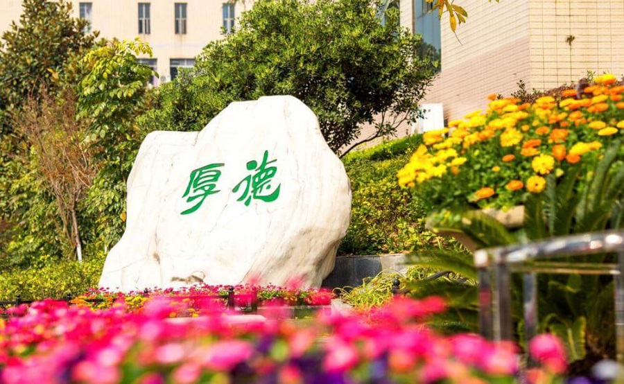 綿陽外國(guó)語學(xué)校學(xué)費(fèi)大概是多少？