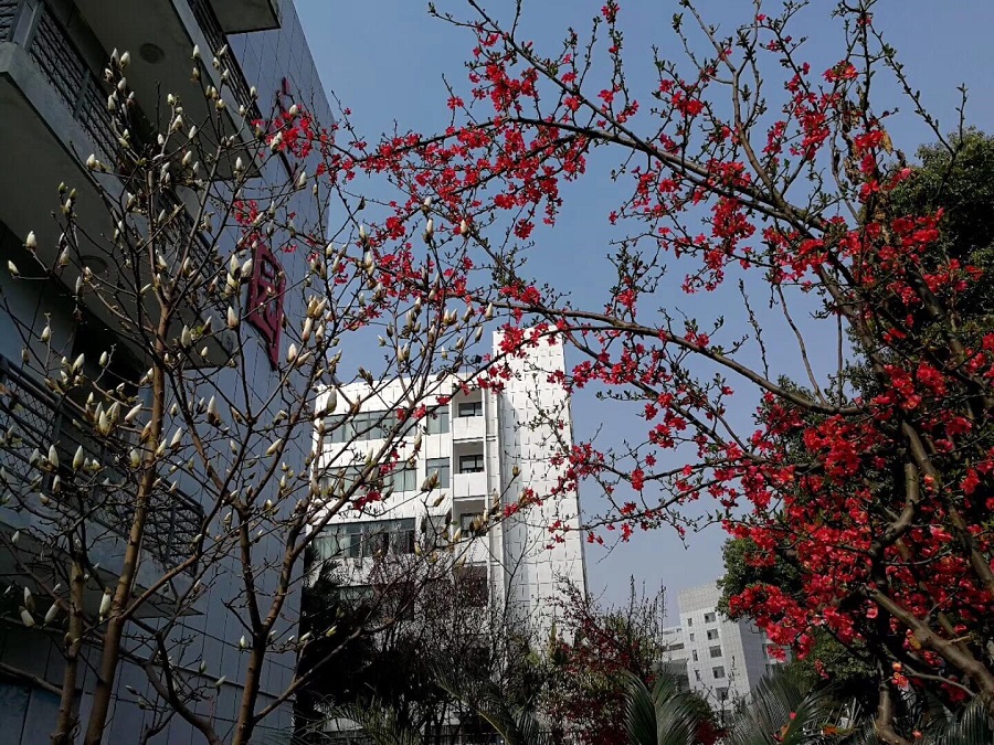 綿陽南山中學(xué)教學(xué)質(zhì)量怎么樣？
