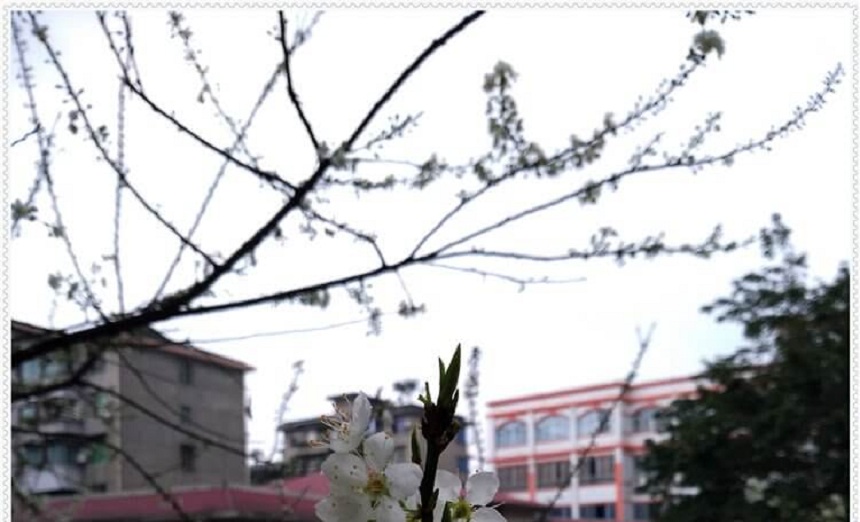 洪雅中學(xué)是一所公辦高中學(xué)嗎？