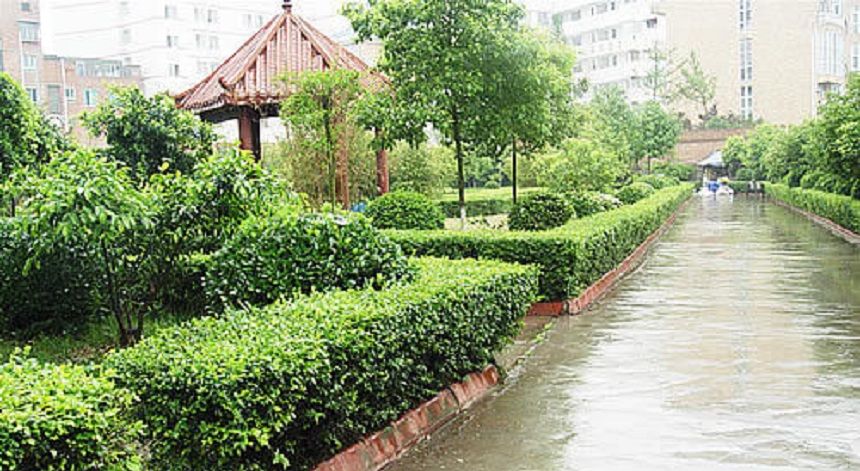 華興中學(xué)環(huán)境好不好？