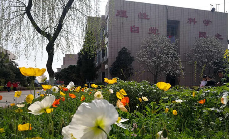 樂山市更生學校學費貴嗎？