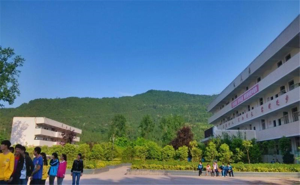 金山中學(xué)2020年學(xué)校招生計(jì)劃在哪兒看？