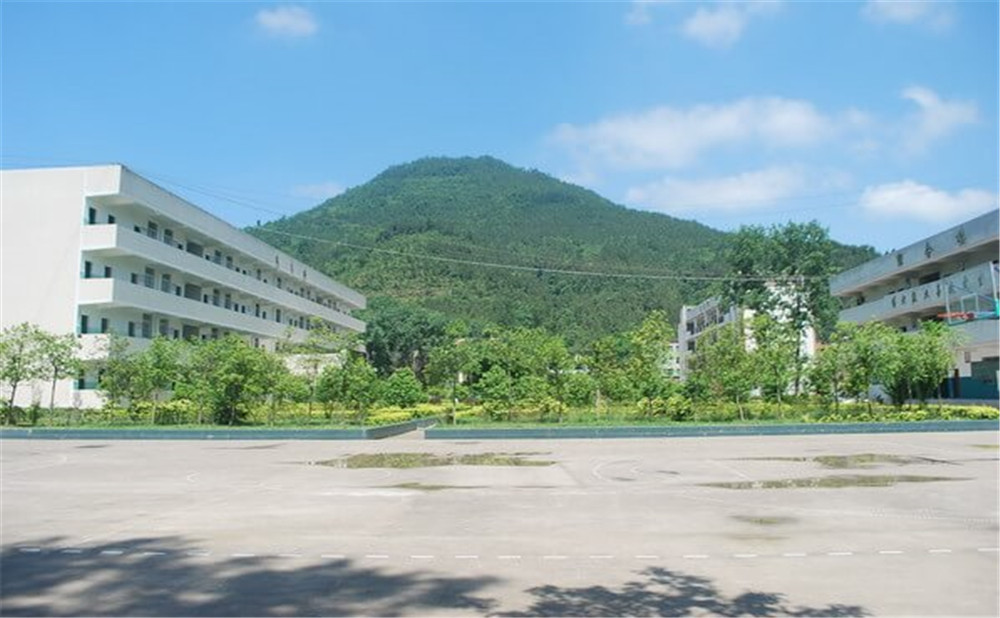 金山中學(xué)學(xué)校環(huán)境如何？