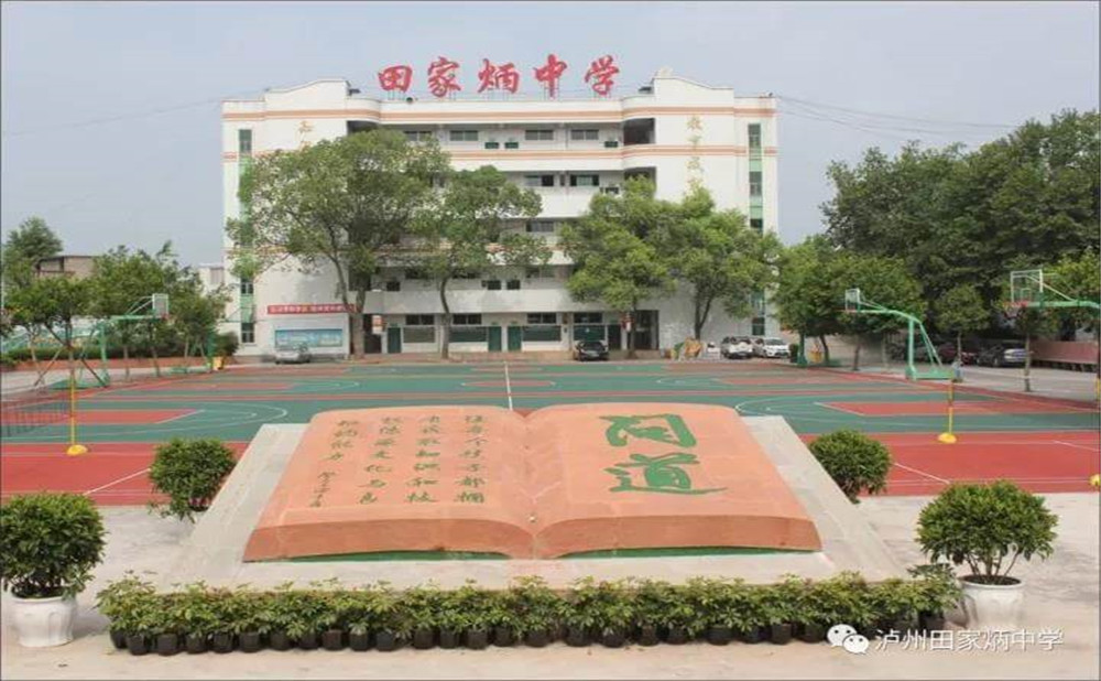 瀘洲市田家炳中學是公辦學校嗎？