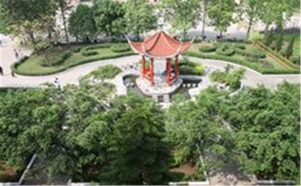 四川省瀘縣第九中學(xué)2020年招生計劃是多少？