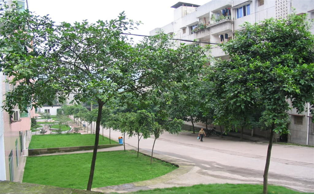 瀘州市納溪區(qū)護國中學(xué)地址在哪里？