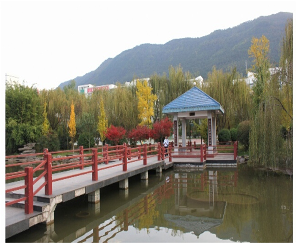 廣元外國(guó)語(yǔ)2020年招生計(jì)劃公布了嗎？