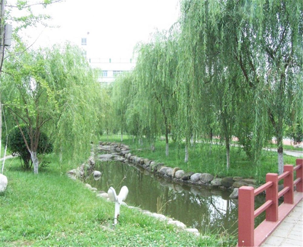 廣元外國(guó)語(yǔ)2020年學(xué)校招生分?jǐn)?shù)公布了嗎？