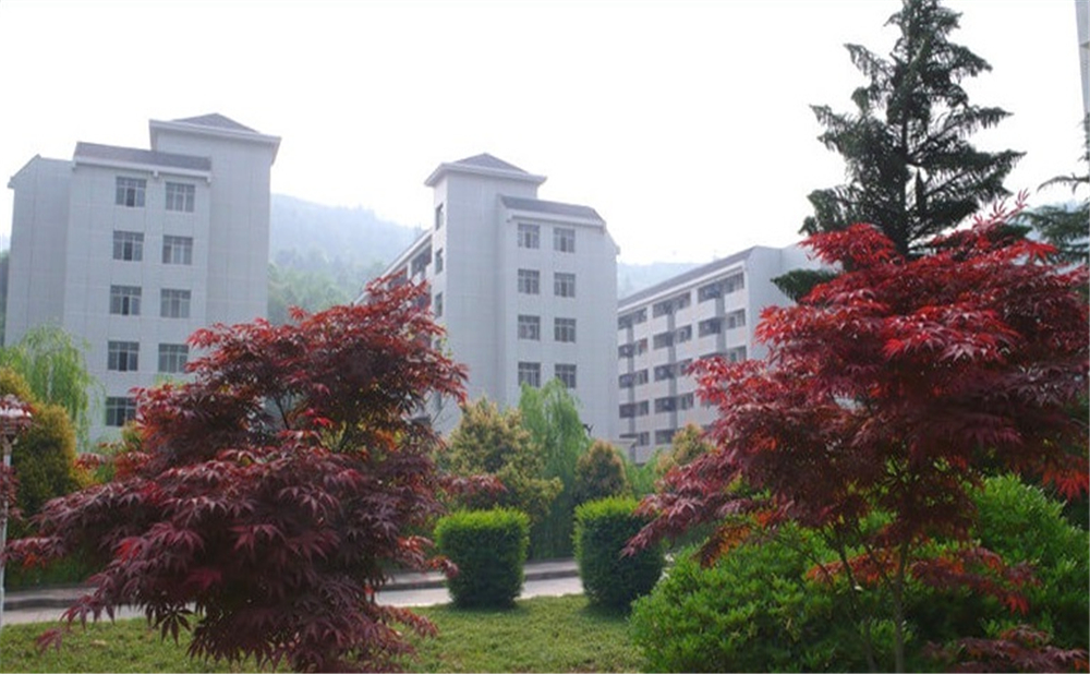 巴中中學(xué)學(xué)校詳細(xì)地址在什么地方？