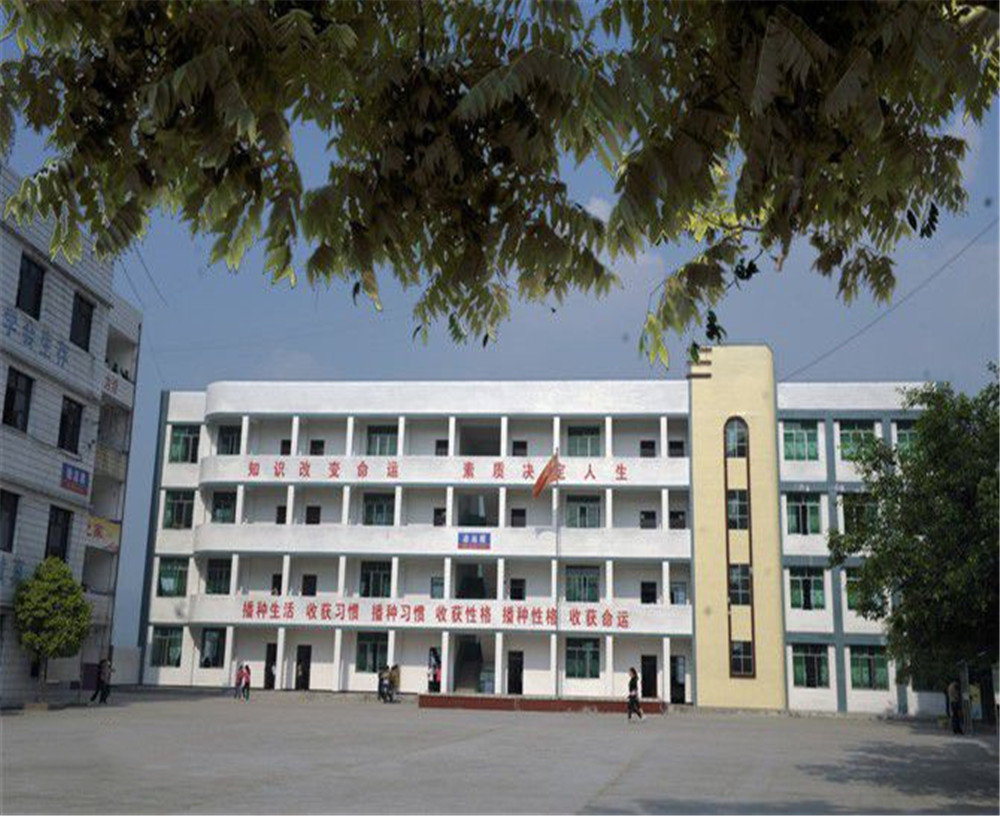 臨巴中學(xué)的詳細(xì)地址在什么地方？