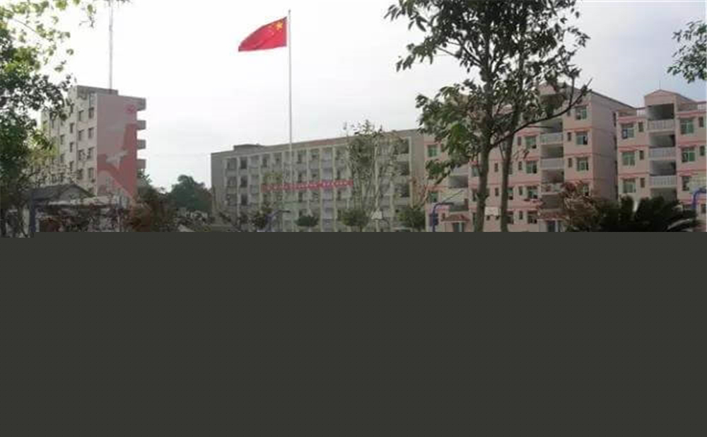 內(nèi)江市第十一中學(xué)學(xué)校詳細(xì)地址在什么地方？