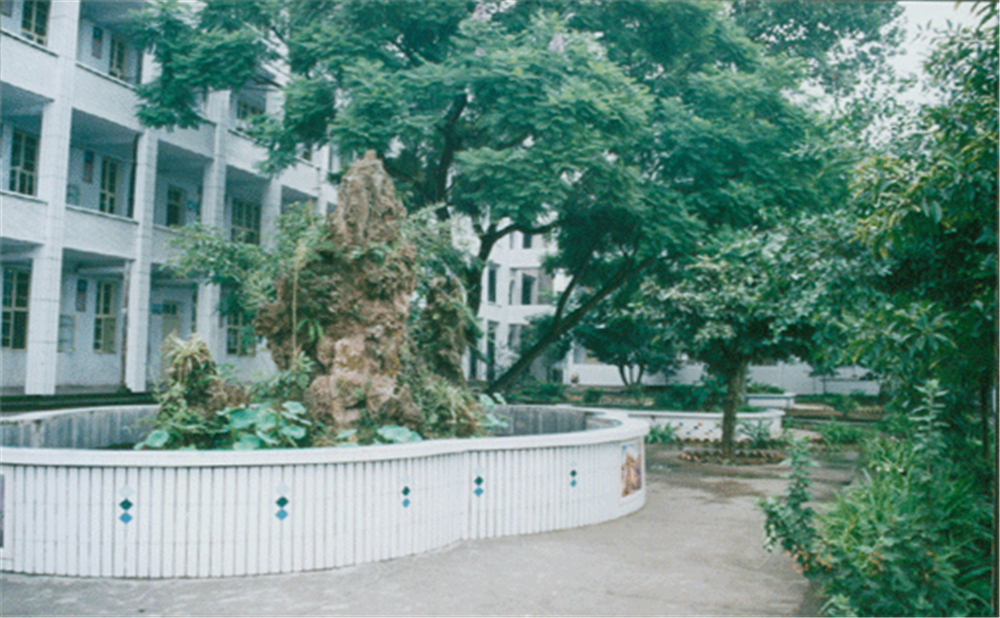 內(nèi)江市第十三中學(xué)學(xué)校環(huán)境怎么樣？