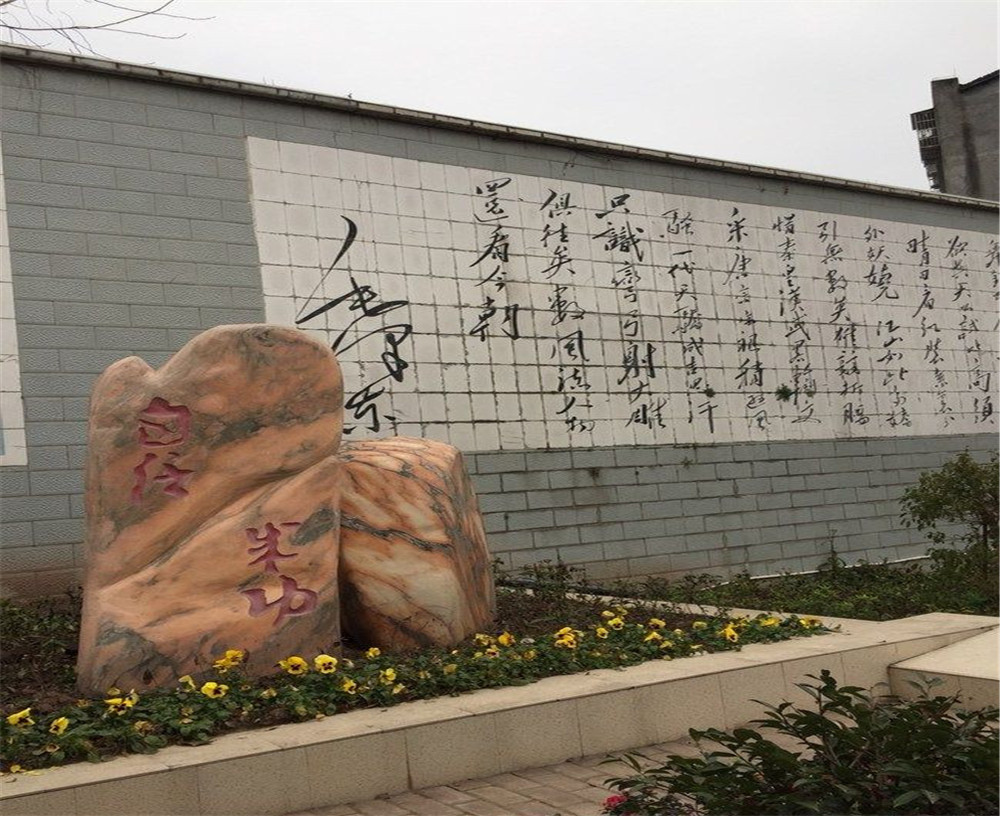 蒲家中學(xué)2020年招生計(jì)劃在哪兒看？