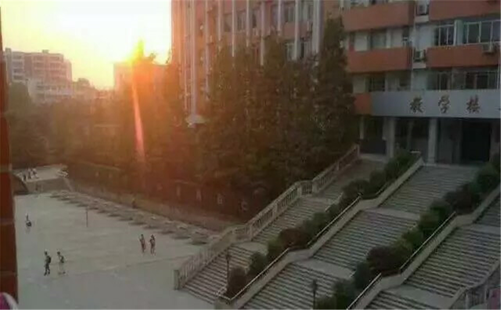 南充十一中學(xué)校招辦電話是多少？