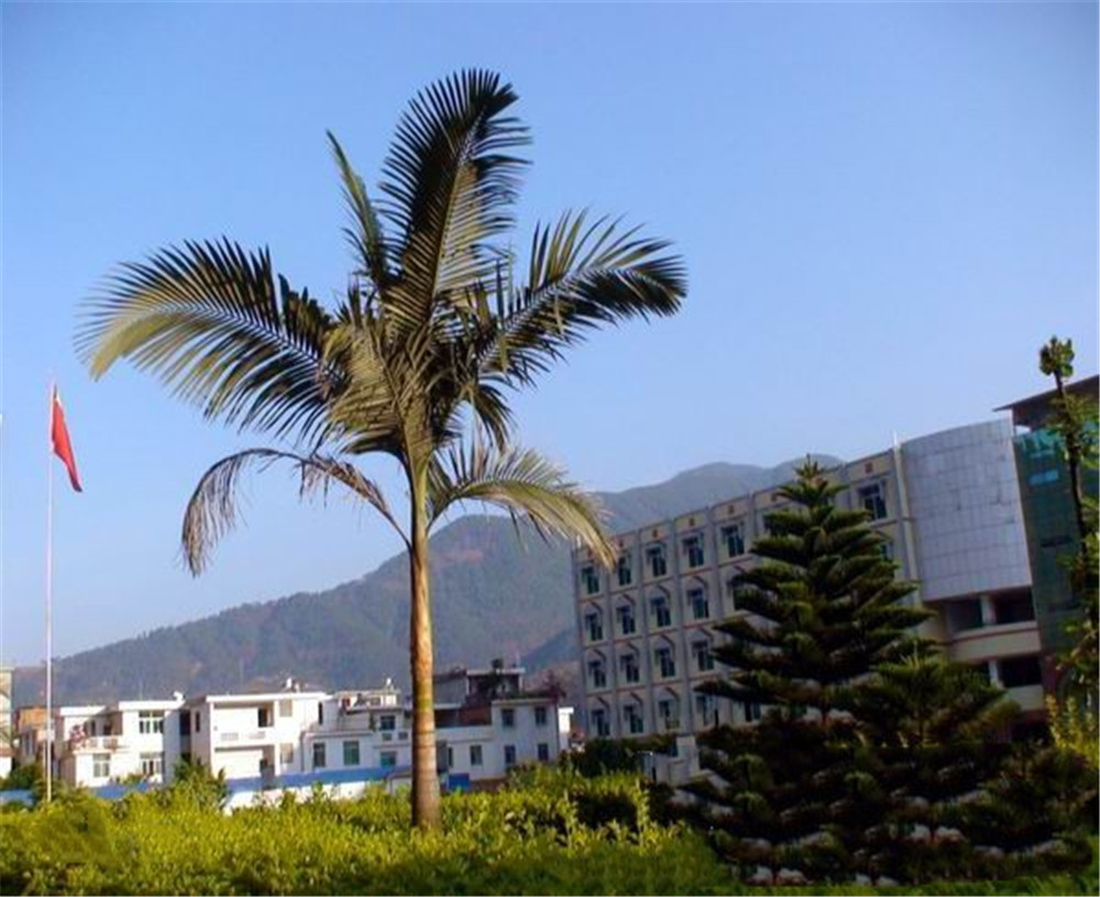 四川省鹽邊縣漁門中學(xué)2020年學(xué)校學(xué)費(fèi)多少錢一年？