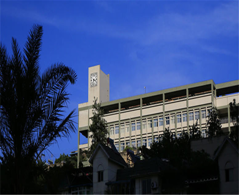 攀枝花市第十五中學(xué)學(xué)校詳細(xì)地址在什么地方？