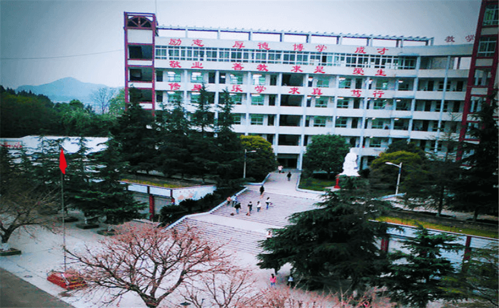 南部市伏虎中學學校詳細地址在什么地方？