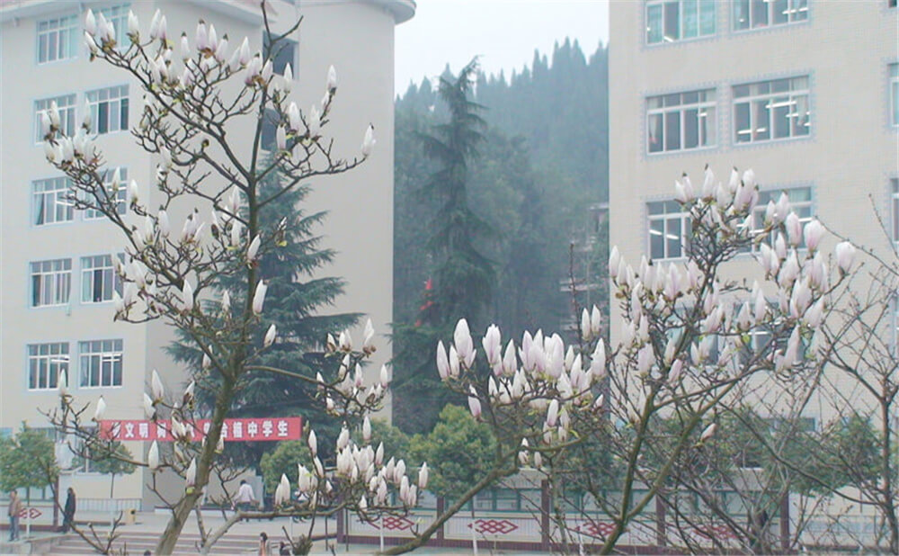 建興中學(xué)2020年中考錄取分?jǐn)?shù)線多少分？
