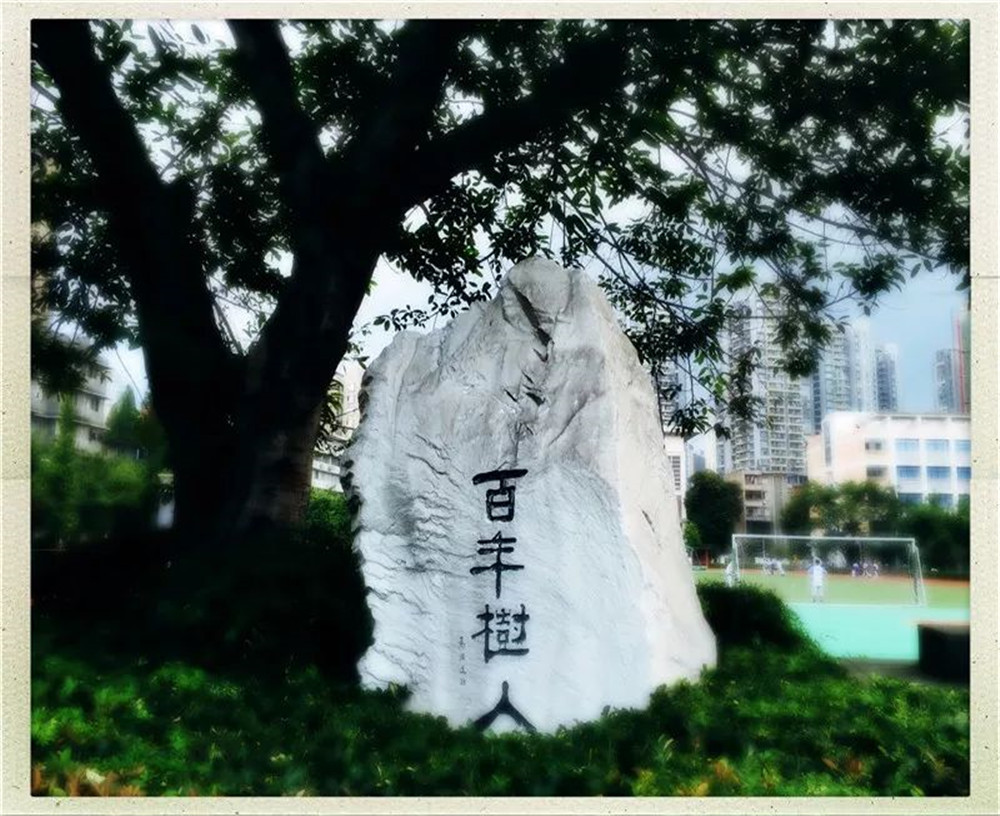 四川大學(xué)附屬中學(xué)2020年的錄取分?jǐn)?shù)線是多少？