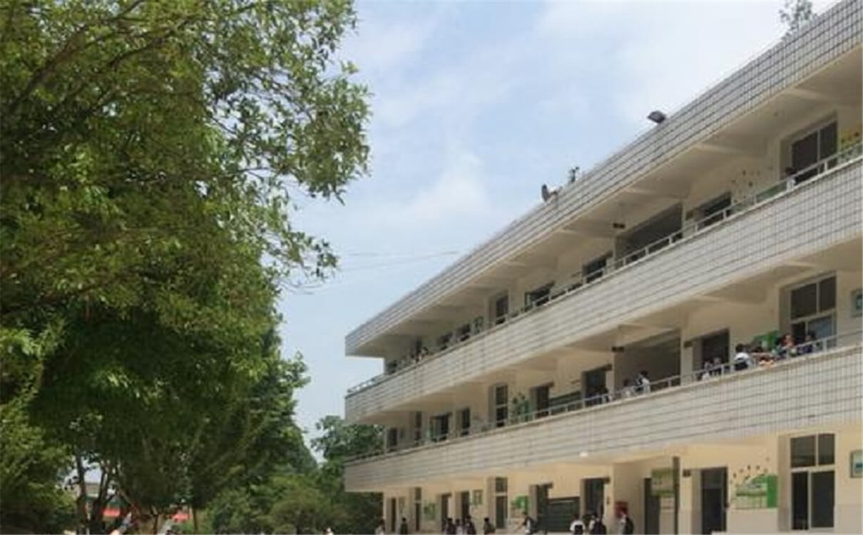 成都市太平中學育才的升學率是多少？