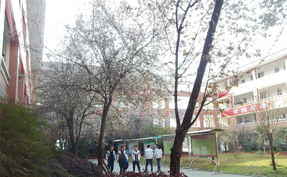 崇慶中學(xué)的去年錄取分?jǐn)?shù)線是多少分？