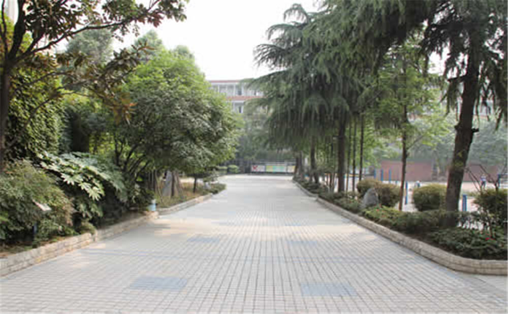 成都列五中學(xué)的學(xué)費(fèi)是多少錢？