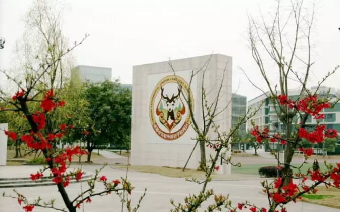成都實(shí)驗(yàn)外國(guó)語(yǔ)學(xué)校（西區(qū)）2020年的招生標(biāo)準(zhǔn)是什么？