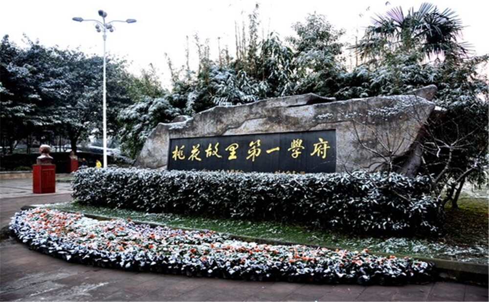成都市龍泉中學的升學率是多少？