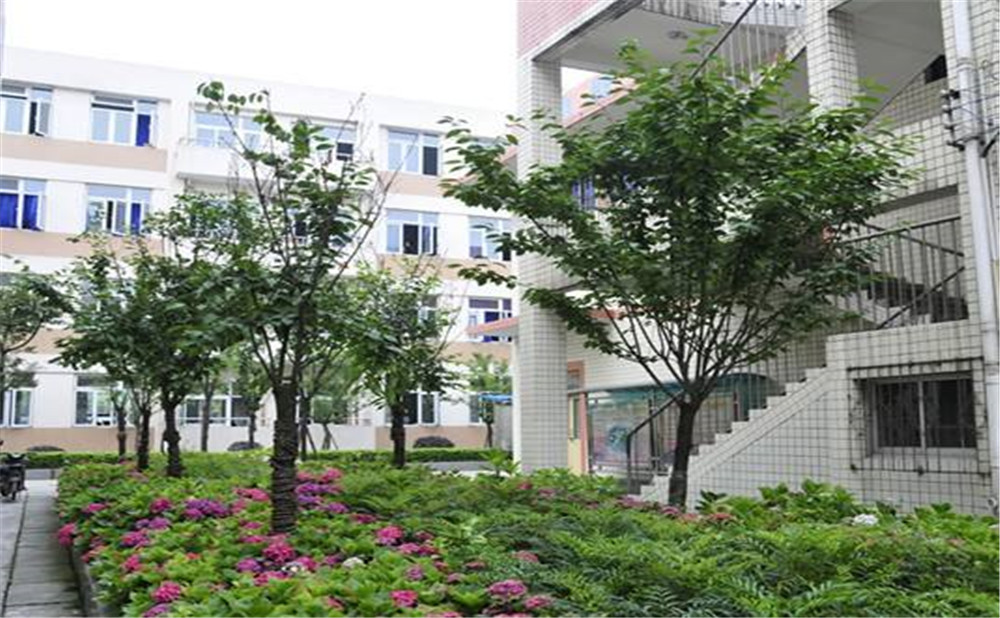 蜀城中學(xué)近三年的錄取分數(shù)是多少？