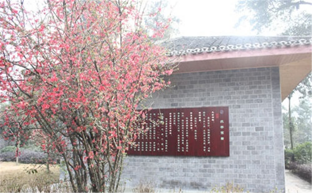 彭州中學(xué)2020年招生標(biāo)準(zhǔn)在哪兒看？
