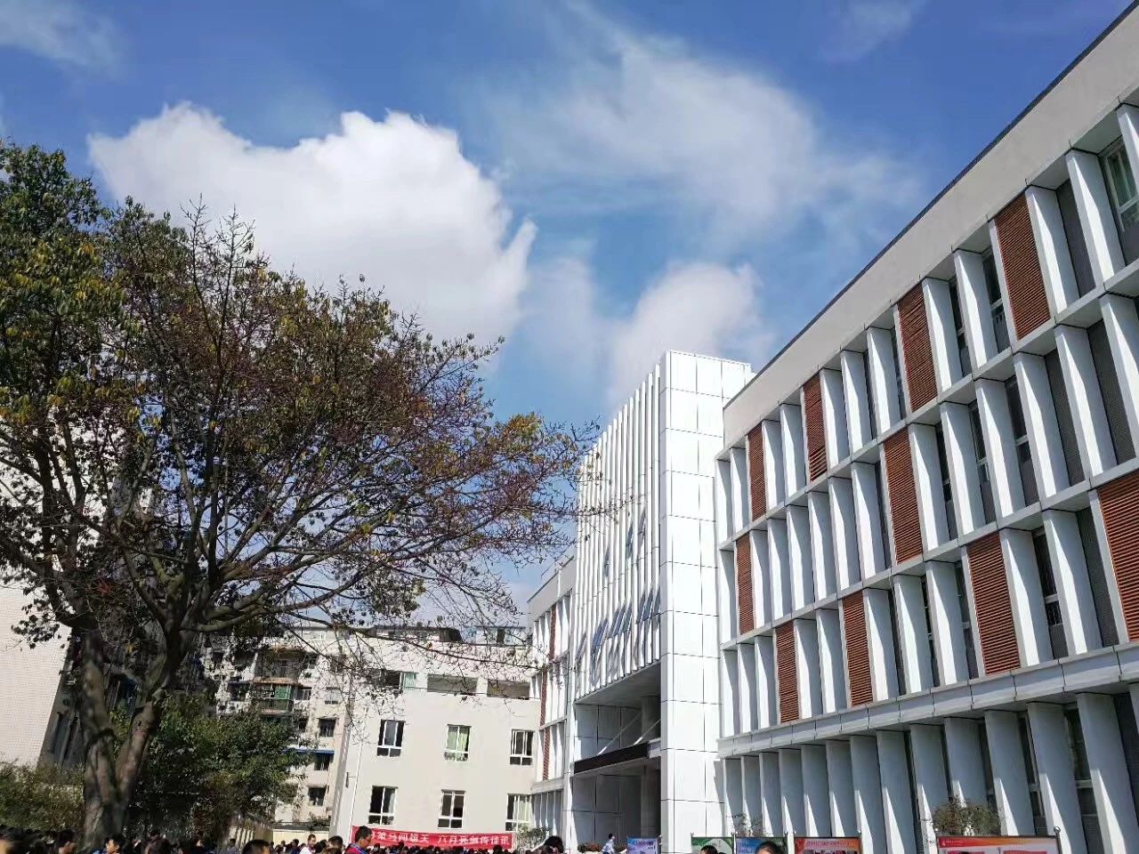 成都二十中高中一年的學(xué)費(fèi)是多少？