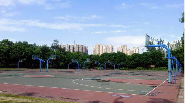 成都實(shí)驗(yàn)外國(guó)語學(xué)校的本科升學(xué)率是多少？