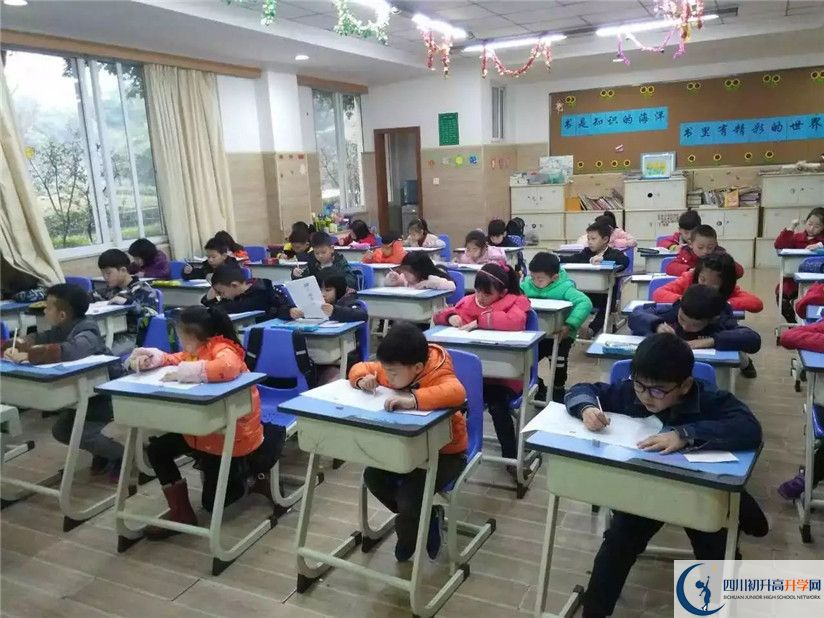 成都美視國際學校的老師好不好？
