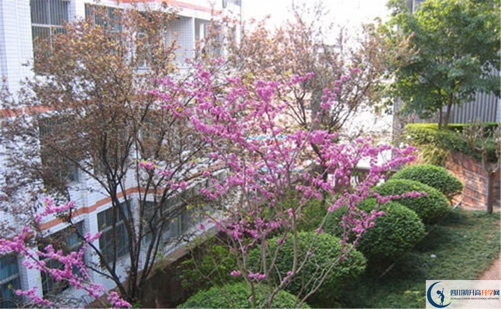 三星中學(xué)初升高的分?jǐn)?shù)線是多少？