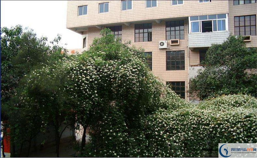 石室聯(lián)合中學(xué)蜀華分校一學(xué)期的學(xué)費(fèi)是多少？