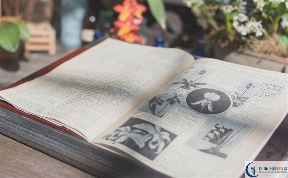 上成都實驗外國語學校的分數(shù)線是多少？