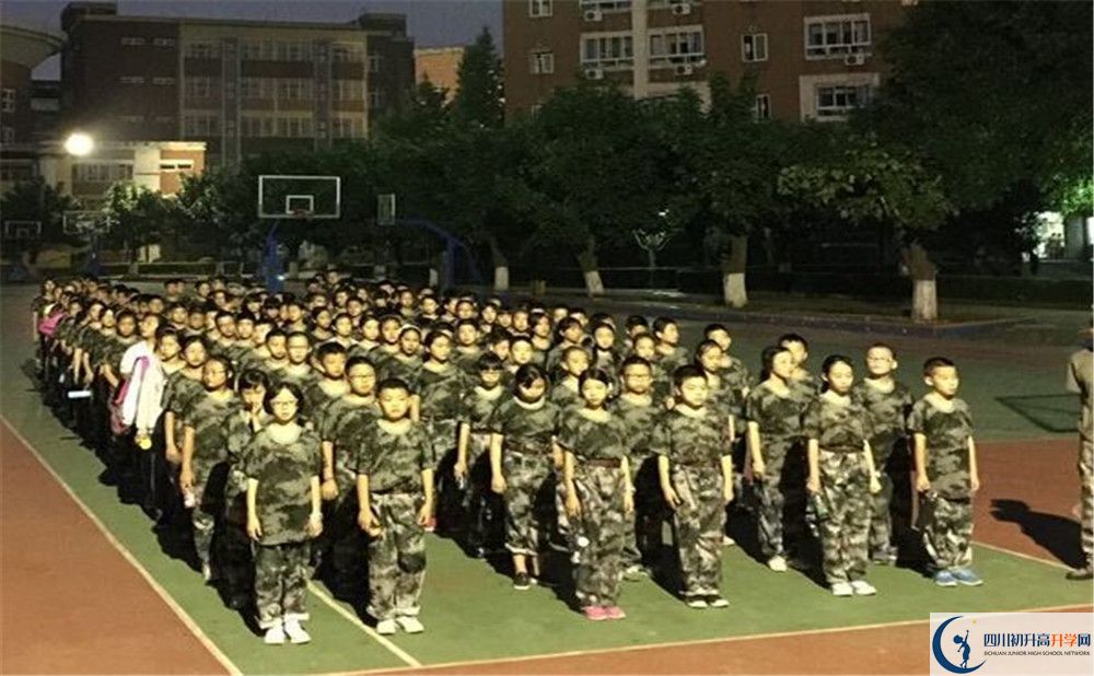考樹德博瑞實驗學(xué)校的分?jǐn)?shù)線是多少？