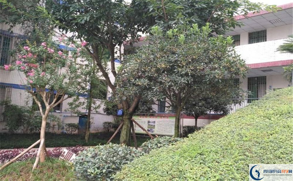 仁壽華達高中高中歷年來的分數(shù)線是多少？