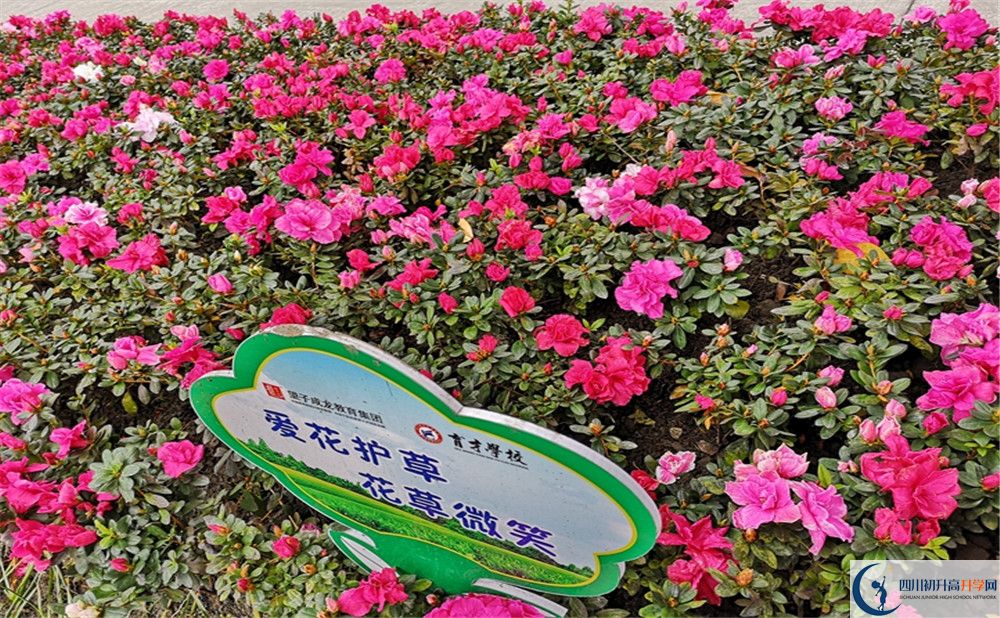 育才學(xué)校高中歷年來的分?jǐn)?shù)線是多少？